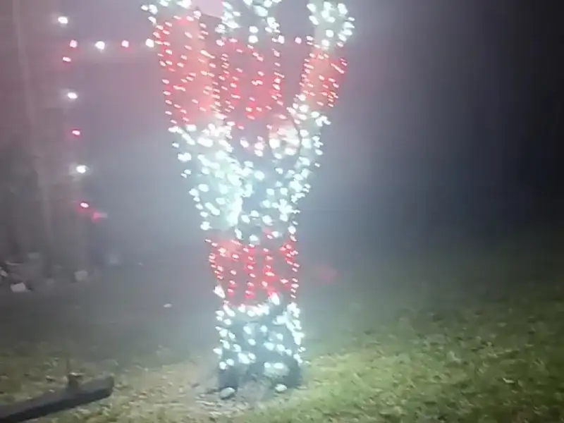 Tree wrapped in red and white Christmas lights